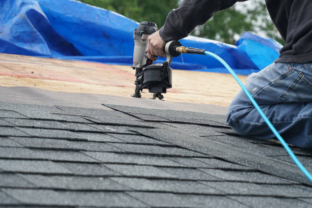 Best Roof Coating and Sealing  in North Zanesville, OH