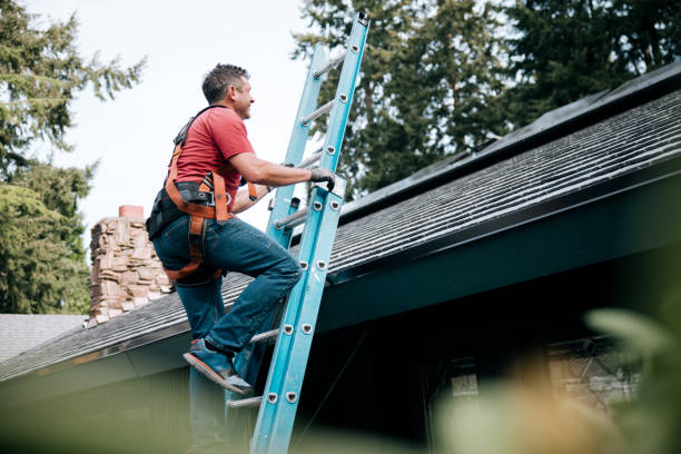 Best Gutter Installation and Repair  in North Zanesville, OH